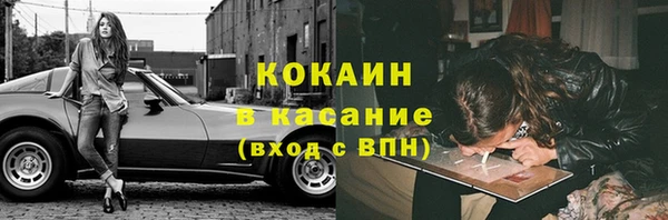твердый Алексин