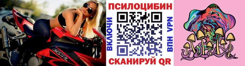 Псилоцибиновые грибы Psilocybe  Перевоз 